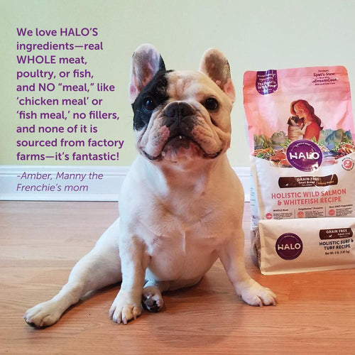 Halo Adult Holistic Chicken & Chicken Liver Recipe Dry Dog Food