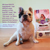 Halo Adult Holistic Wild Salmon & Whitefish Recipe Dry Dog Food