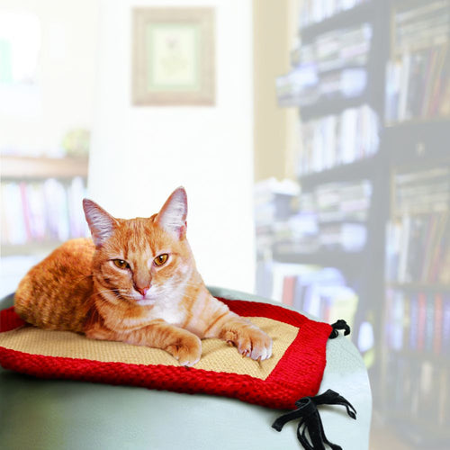 Kong Cat Active Play Mat