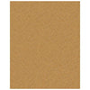 REPTILITE NATURAL SAND
