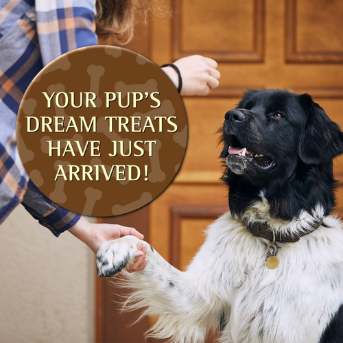 Zignature Pork Soft Moist Treats for Dogs