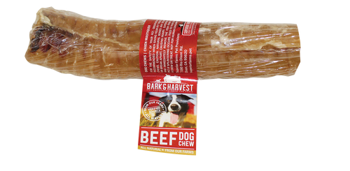 Bark & Harvest Beef Trachea 6in*