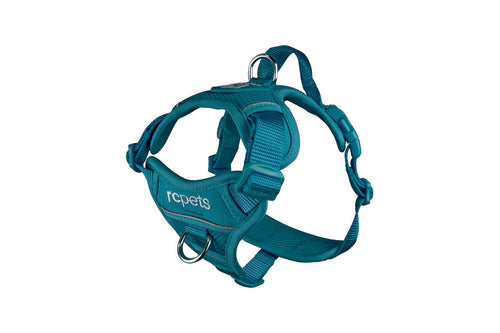 RC Pet Momentum Control Harness