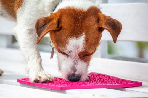 SodaPup Flower Power Design eMat Enrichment Lick Mat