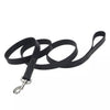 Coastal Pet Circle T Oak Tanned Leather Dog Leash
