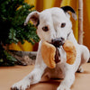 Bark More S'mores Dog Toy