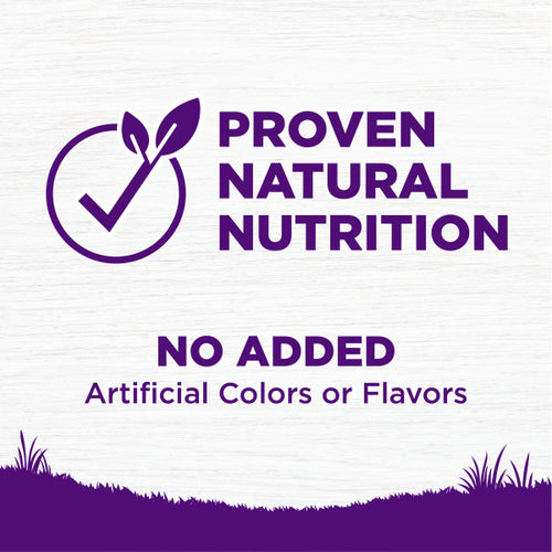 Wellness Complete Health Grained Chicken & Oatmeal Dry Dog Food