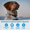 Wellness Simple Natural Limited Ingredient Diet Duck and Oatmeal Recipe Dry Dog Food