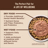 Wellness CORE Grain Free Kitten Deboned Turkey, Turkey Meal & Deboned Chicken