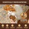 Wellness CORE Grain Free Kitten Deboned Turkey, Turkey Meal & Deboned Chicken