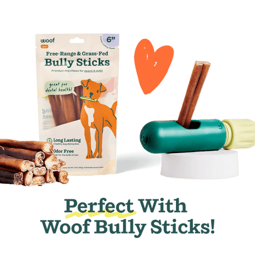 Woof The BullySafe Chew Holder Dog Toy