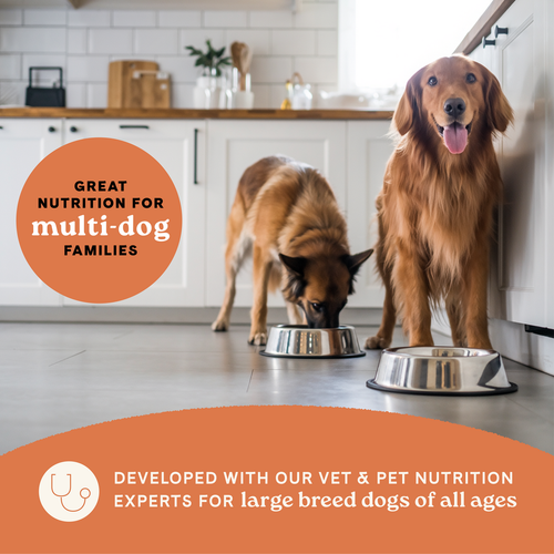 Canidae  All Life Stages Large Breed Multi-Protein Recipe Dry Dog Food