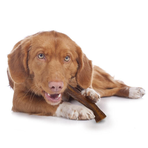 Cadet Butcher Treats 100% Beef Strips Dog Treats