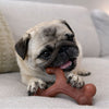 Nylabone Strong Chew Wishbone Dog Chew Toy