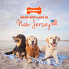 Nylabone Strong Chew Wishbone Dog Chew Toy