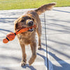 KONG Wubba Sport Basketball Dog Toy
