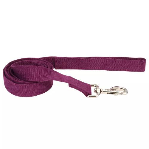 Coastal Pet New Earth Soy Dog Leash