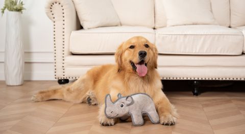 Territory Rhino Durable Plush Dog Toy
